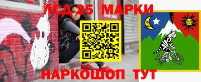 стаф Гай