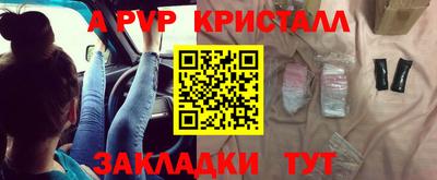 стаф Гай