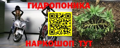 альфа пвп Гатчина