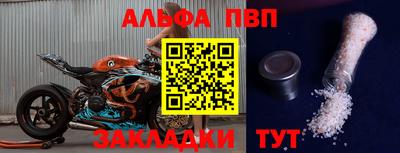 стаф Гай