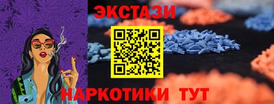 стаф Гай