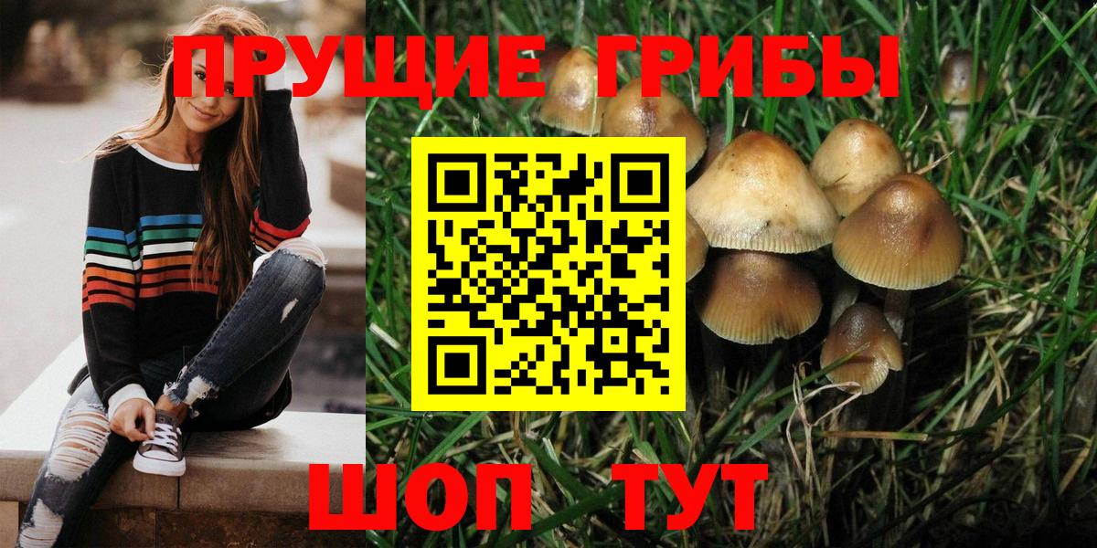 Галлюциногенные грибы мухоморы Мариинск