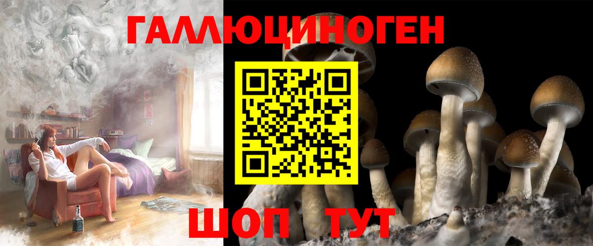 Псилоцибиновые грибы Cubensis  Вход с VPN  Мариинск 