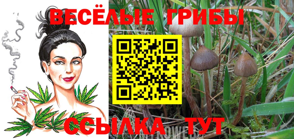 Галлюциногенные грибы Magic Shrooms Мариинск